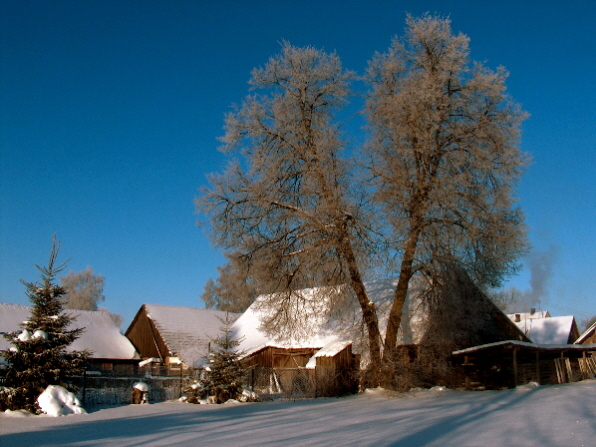 zima na Podlasiu