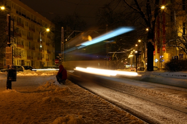 polowanie na tramwaj