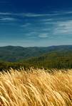 Bieszczady - wrzesień 2009 r.