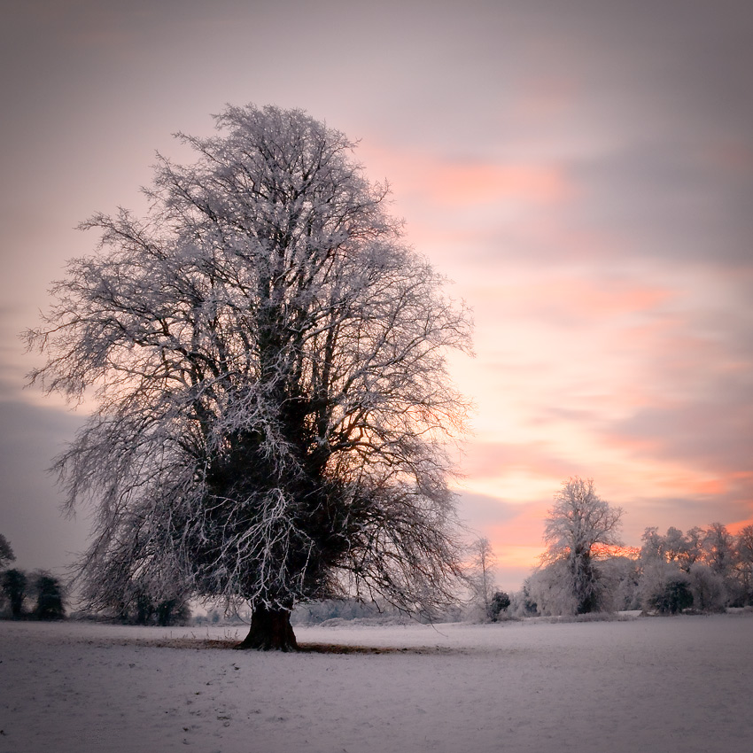 White Ireland III