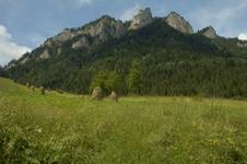 Pieniny