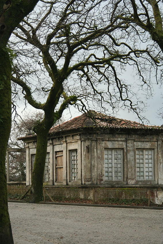 casa soltera