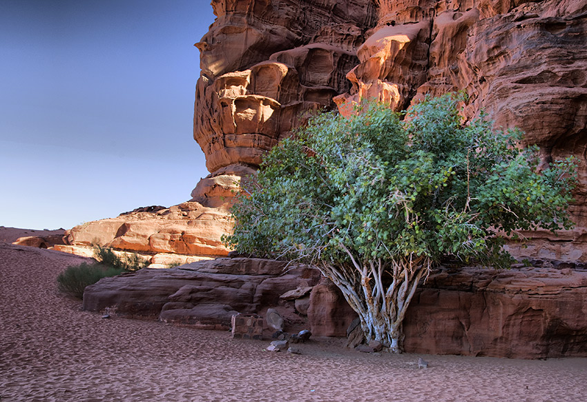 Wadi Rum 4