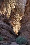 Wadi Rum 6