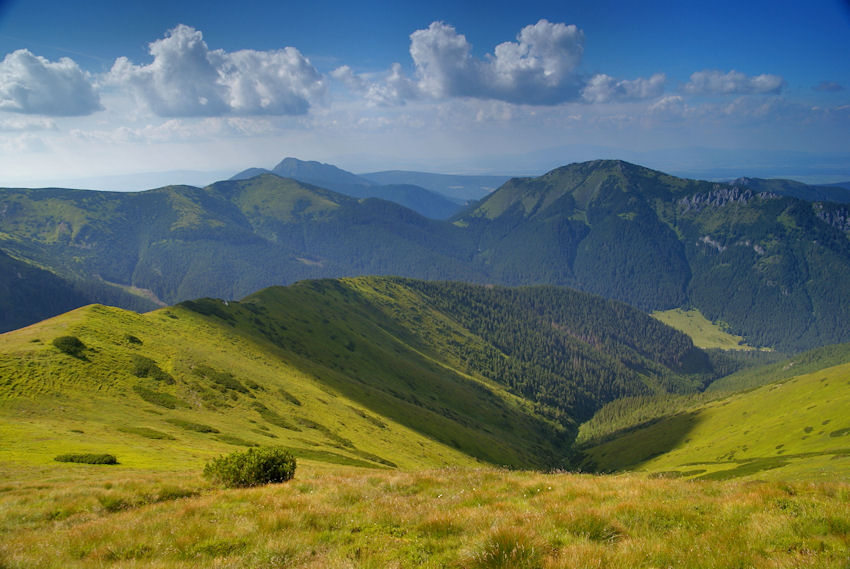 to kiedy będzie to lato?