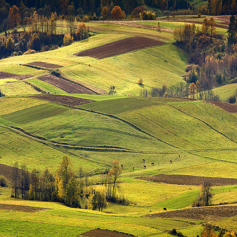 Bieszczady