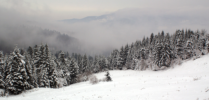 Beskid Sądecki