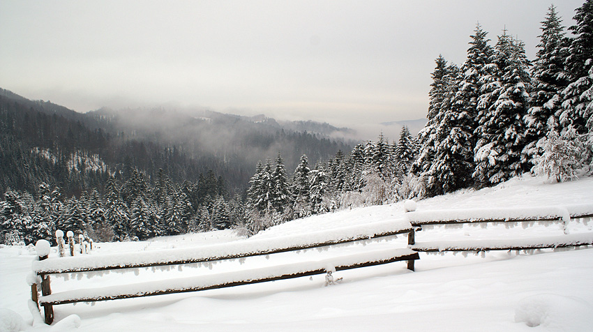 Beskid Sądecki