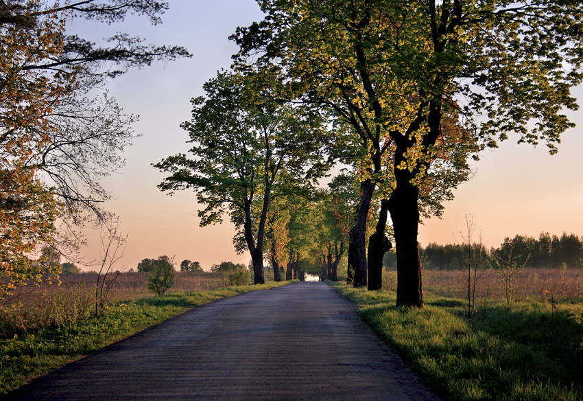 mazury