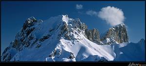 marmolada z bitą śmietaną