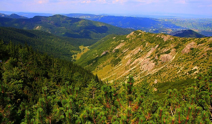 Dolina kościeliska