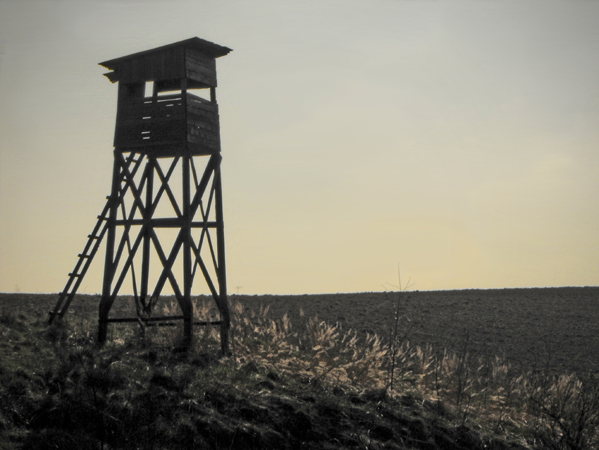 Watch Tower