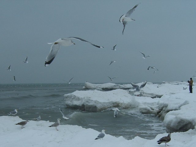 brzeg morski  w Kołobrzegu - 14 luty 2010