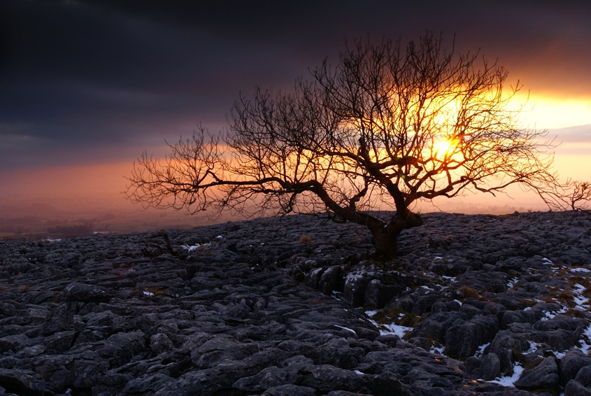 Ingleborough- c.d.