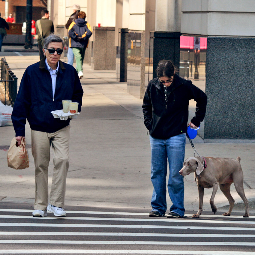 Brudny Harry, Sabaka alias Dingo i Alanis Morissette o poranku