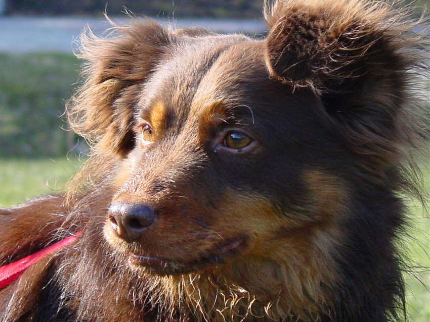 Einn