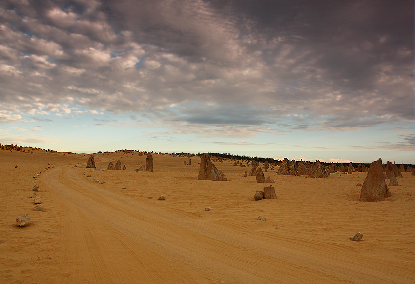 Pinnacles Desert