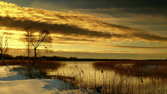 Wieczorową porą.