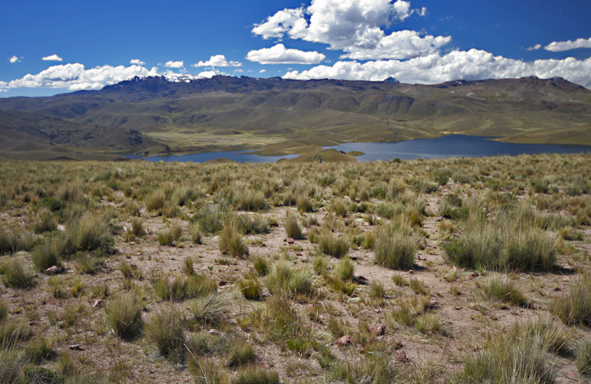 Peru - chyba Altiplano