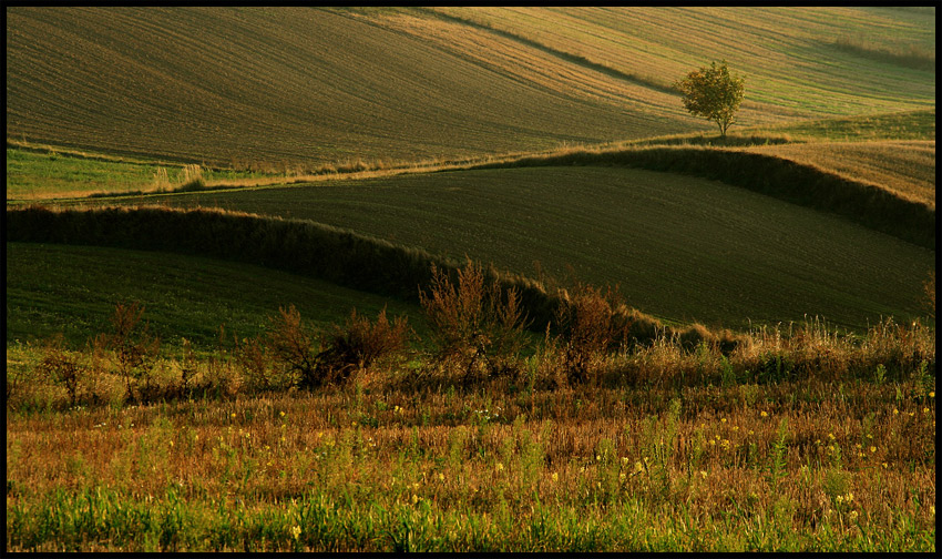 lubelszczyzna