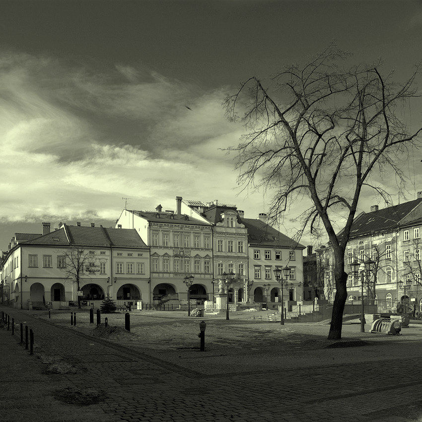 Rynek 2010