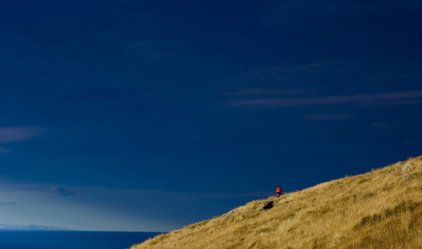 Mountain Biker