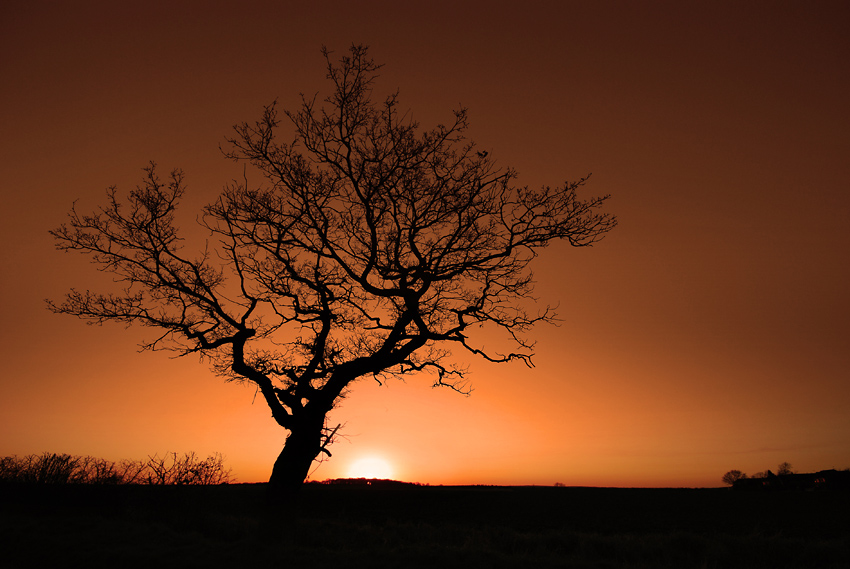 Sunset at Ordsall