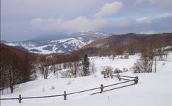 Bieszczady