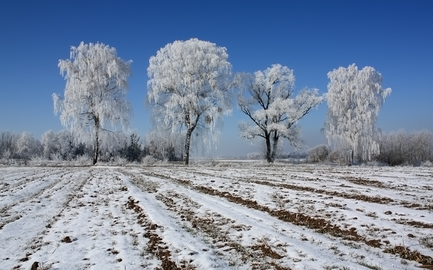 Dzisiaj II...