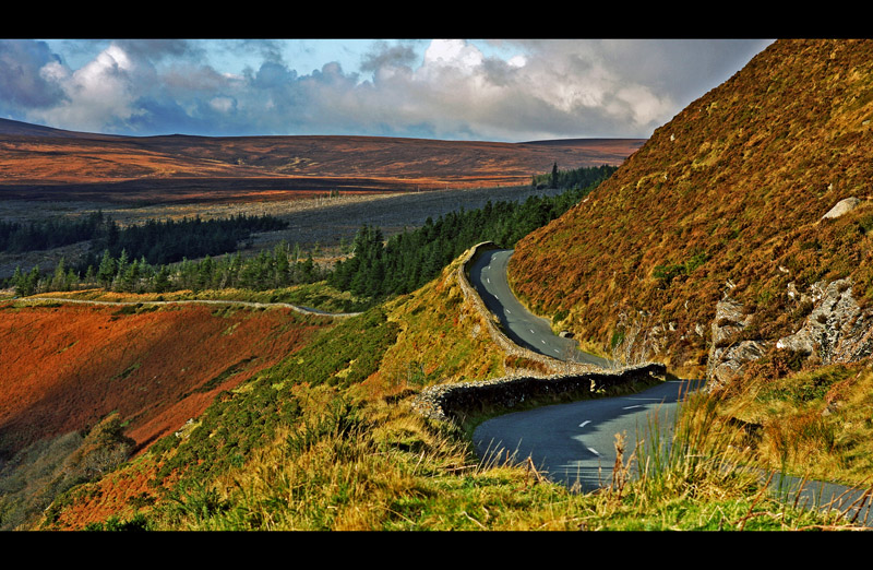 Jesień w Górach Wicklow