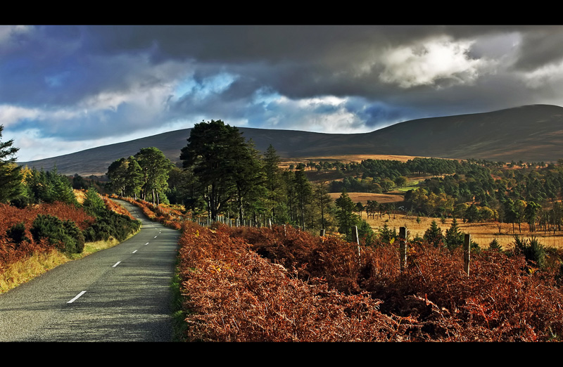 Jesień w Górach Wicklow 2