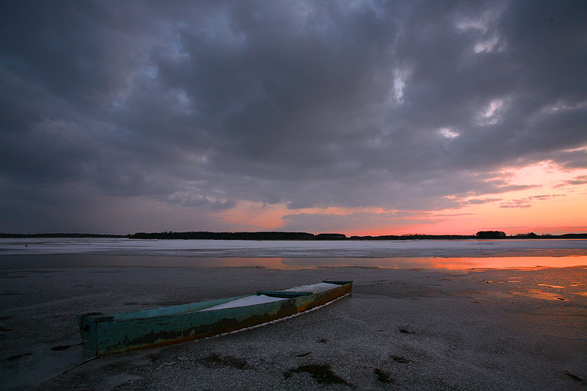 Narew