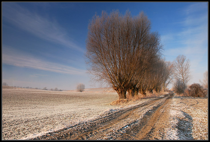 Mroźny poranek.