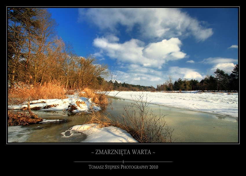 ~ Zamarznięta Warta ~