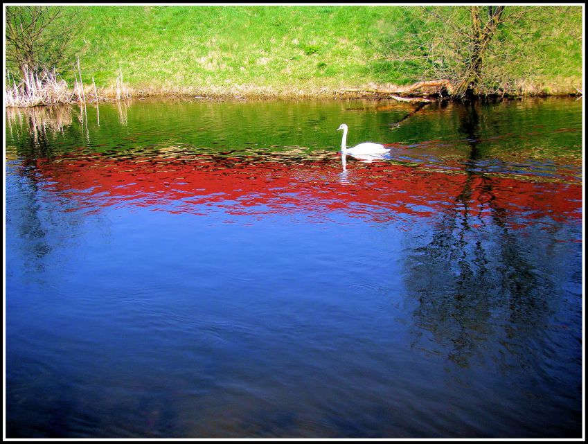 oryginalne kolory rzeki