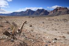 Red Rock Canyon