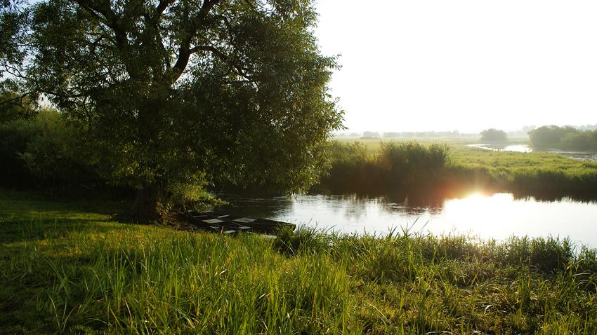 Biebrza, poranek