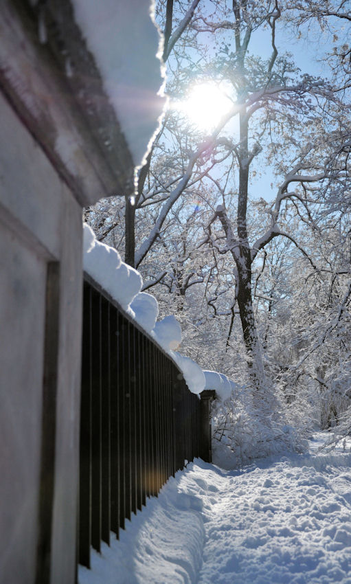 Łazienki 15.03.2010