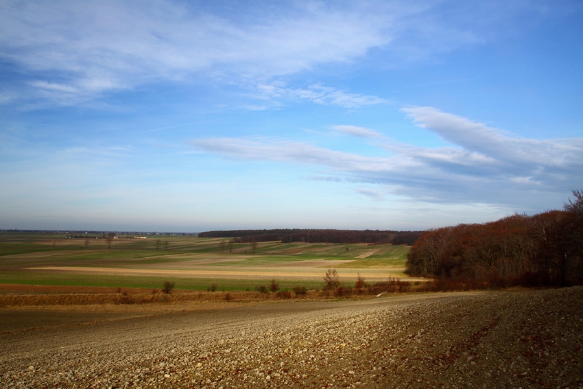 Wyżyna Miechowska