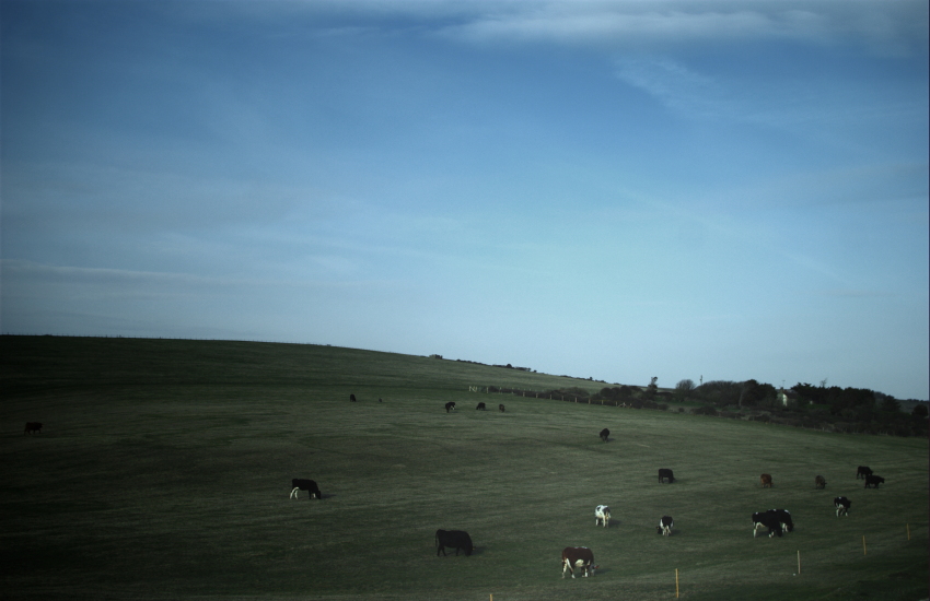 Beachy Head