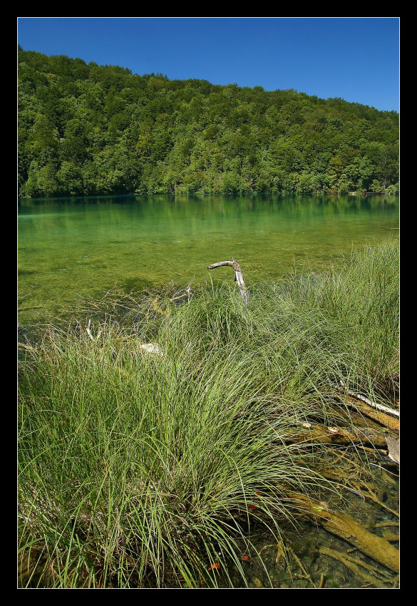 Chorwacja - Plitvicka Jezera