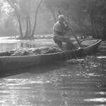 Dal Lake series