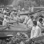 Dal Lake series