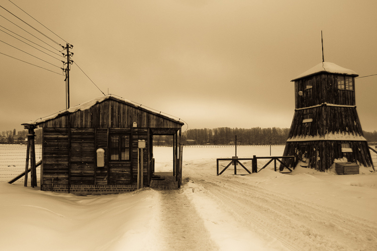 Majdanek - Lublin - 16.01.2010 - #4