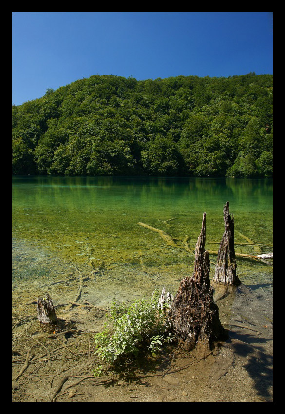 Chorwacja - Plitvicka Jezera