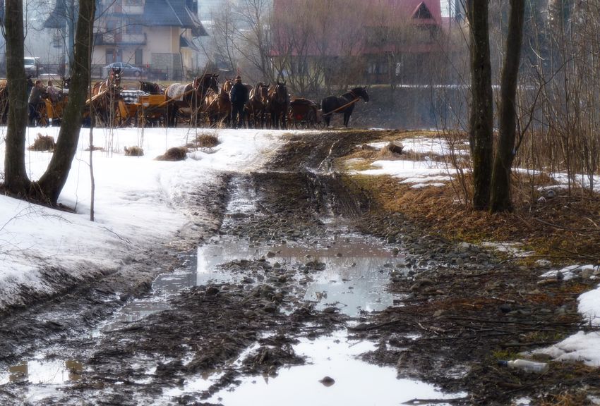 Przedwiośnie