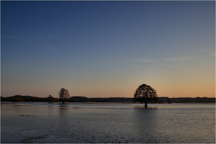 Narew