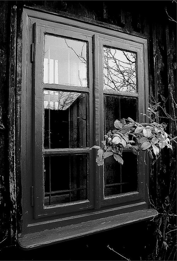 window bw