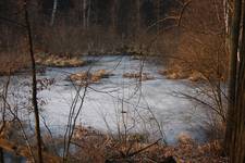 my secret garden...winter time...