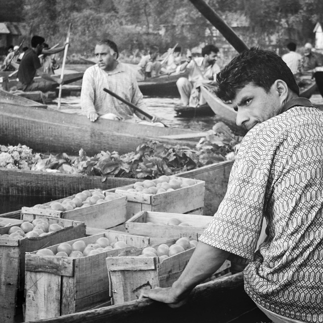 Dal Lake series